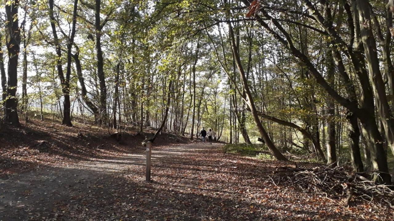 Kanne: Charming House Between Nature And Shopping 외부 사진